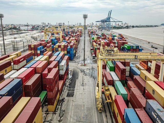 Com crescimento de 6,6% no valor produzido em SC, pecuária é destaque no agronegócio do estado em 2024