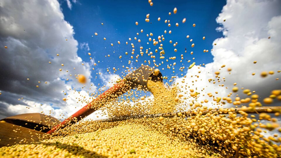 PIB brasileiro cresceu 1,4% no 1°. trimestre: agronegócio lidera
