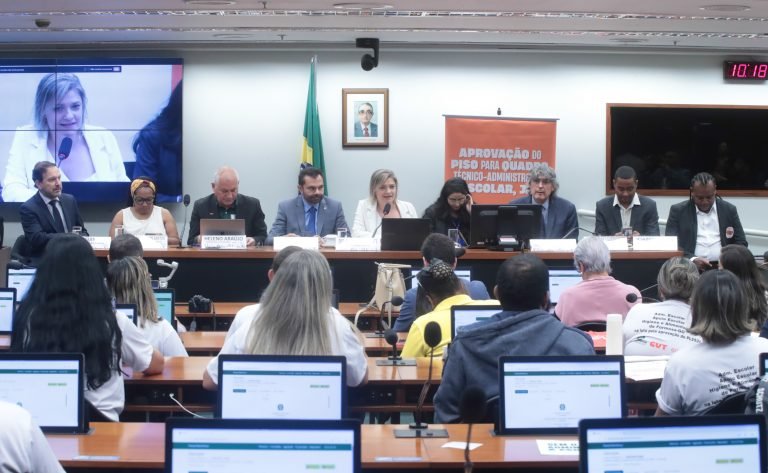 Audiência Pública - Instituição do piso salarial os profissionais dos quadros de pessoal técnico e administrativo da educação básica - <a class=