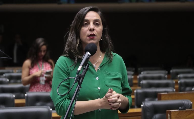 Discussão e Votação de Propostas Legislativas. Dep. Fernanda Melchionna (PSOL - RJ)