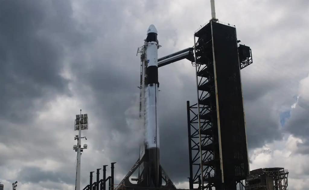 Brasil vai analisar sementes de morango enviadas ao espaço