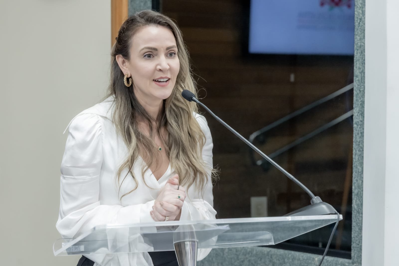 Assembleia Legislativa homenageia Abrasel-SC pelos 30 anos