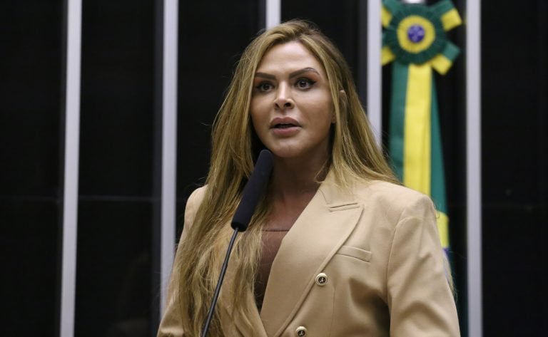 Discussão e votação de propostas legislativas. Dep. Silvye Alves (UNIÃO - GO)