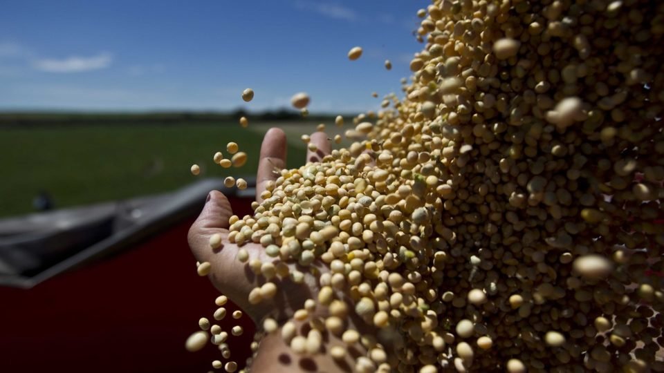 Haddad culpa juros altos e abuso da lei