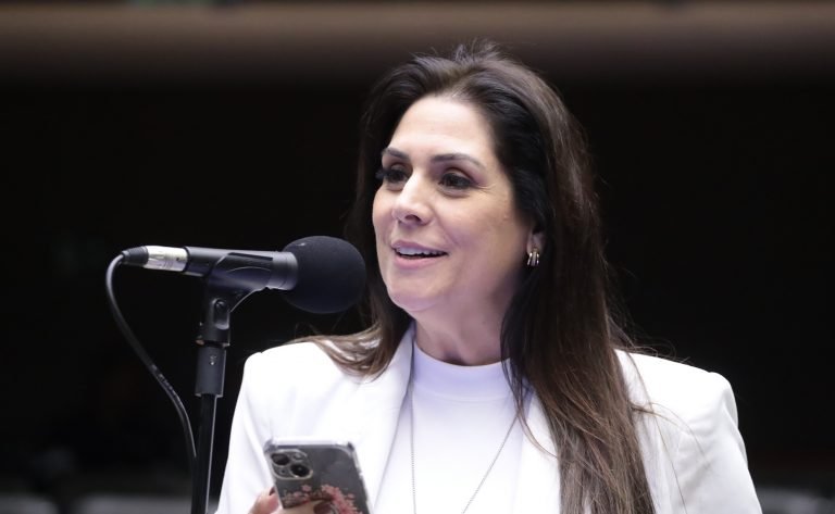 Proposições Remanescentes da Sessão Anterior. Dep. Simone Marquetto (MDB - SP)