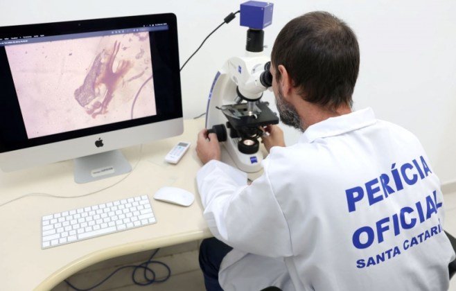 Alesc analisa projetos voltados à saúde, cidadania, meio ambiente e valorização cultural; Confira