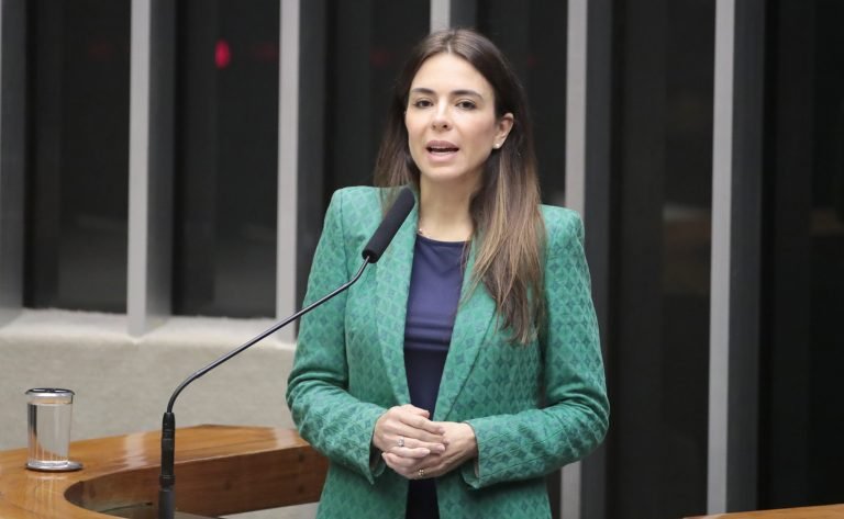 Homenagem ao Dia Nacional do Empreendedor e ao Simples Nacional. Dep. Any Ortiz (CIDADANIA - RS)