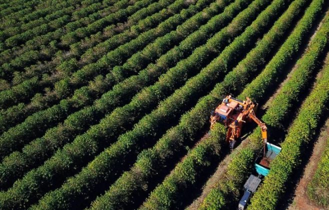 Agronegócio somou R$ 1,26 bilhão em contratações do BRDE no Paraná em 2025