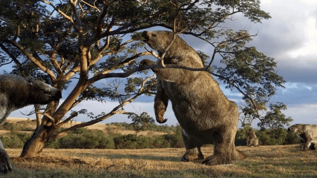 Na Era do Gelo, onças caçavam animais com quase 1 tonelada