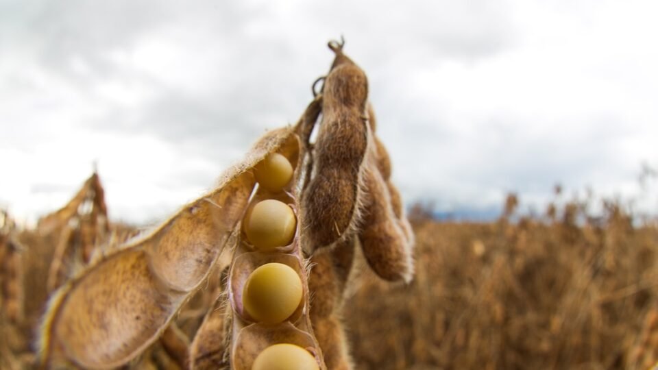 juros altos exigem gestão eficiente