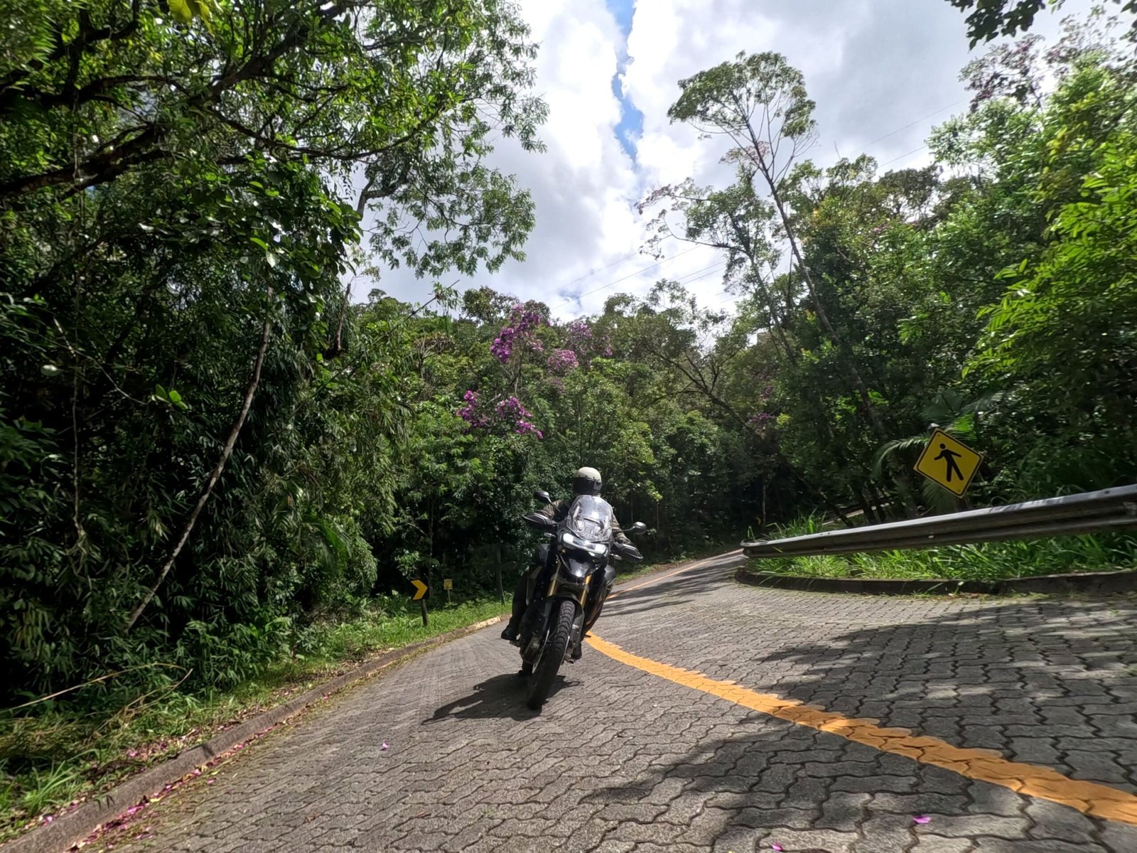 Marcio Hanashiro_Curva Moto.jpg