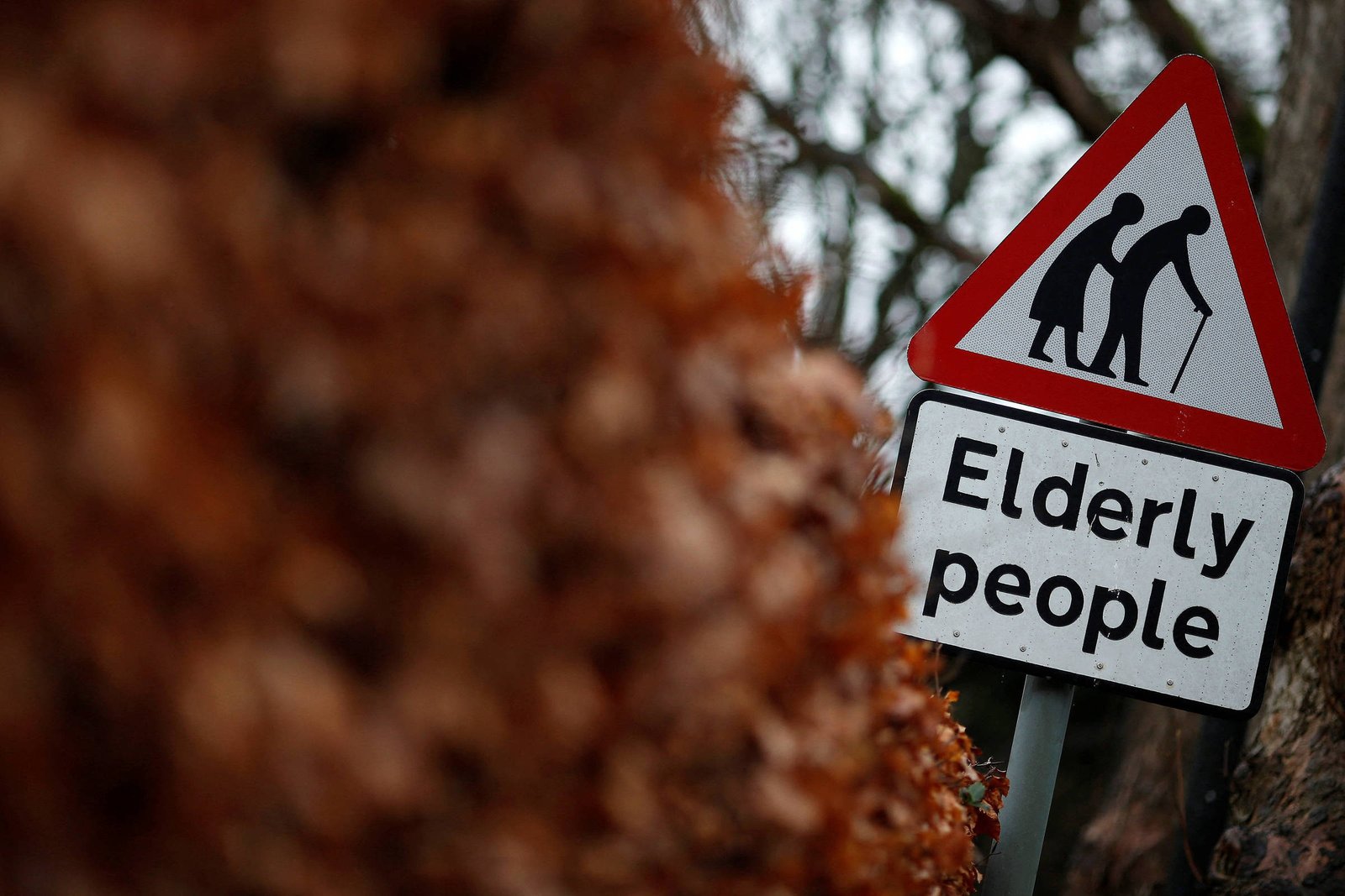 Declínio populacional é realmente um grande problema? – 18/02/2026 – Martin Wolf