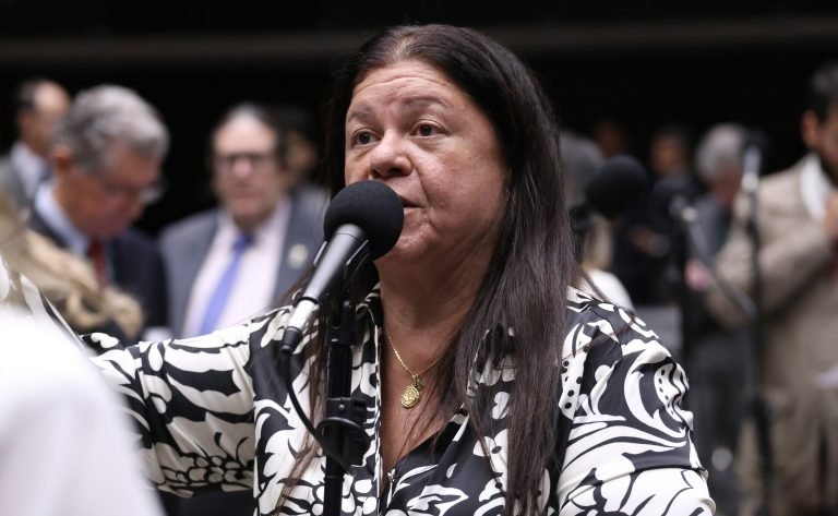 Discussão e votação de propostas legislativas. Dep. Laura Carneiro (PSD - RJ)