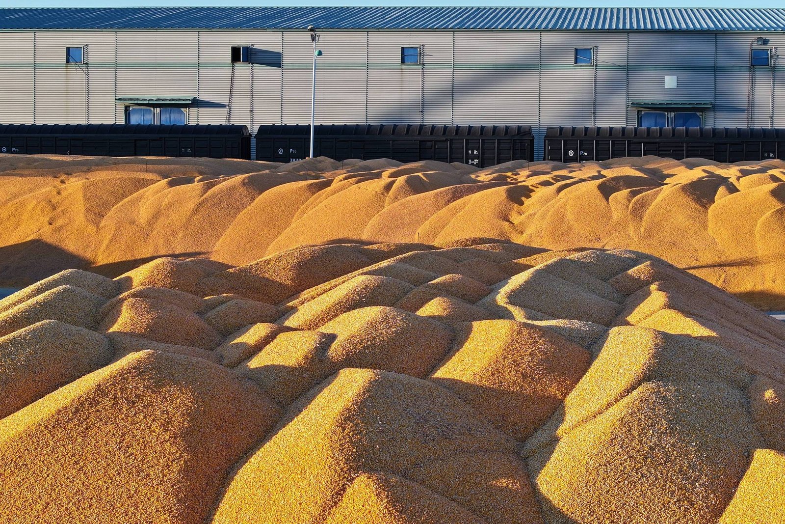 Soja é mais sensível que milho em conflitos geopolíticos – 26/03/2026 – Vaivém