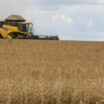 preço e falta de diesel já afetam colheita de arroz e soja