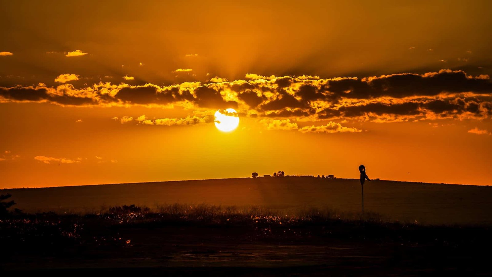 Inmet alerta para onda de calor no Brasil; saiba em quais regiões