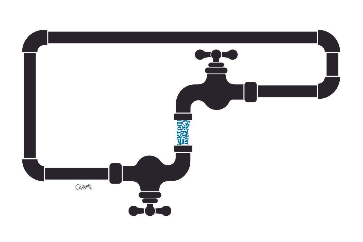Tartaruga Jonathan e o jornalismo guiado por rede social – 04/04/2026 – Alexandra Moraes – Ombudsman